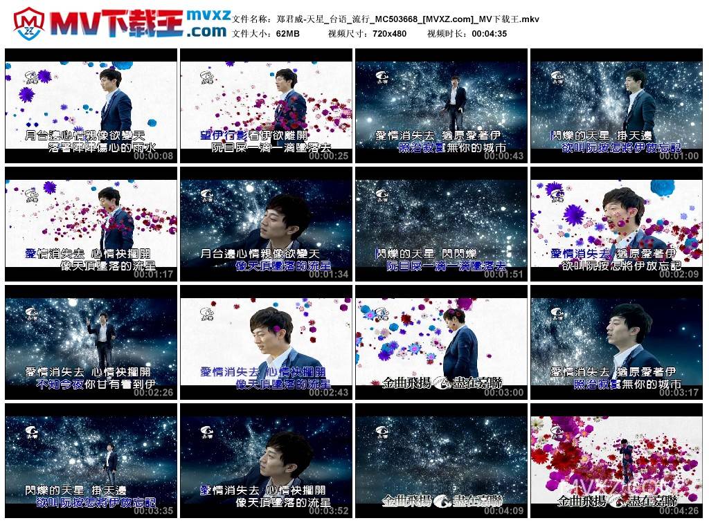 郑君威-天星_台语_流行_MC503668